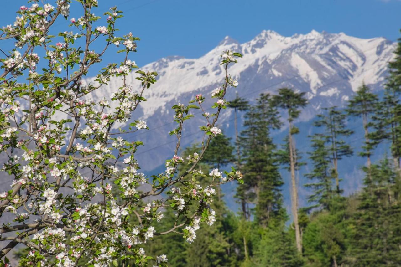 The Tirthan Eagle Nest, Tirthan Valley Jibhi Exterior foto