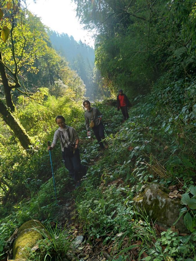 The Tirthan Eagle Nest, Tirthan Valley Jibhi Exterior foto
